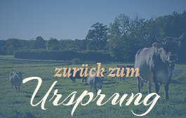 zurueck zum Ursprung